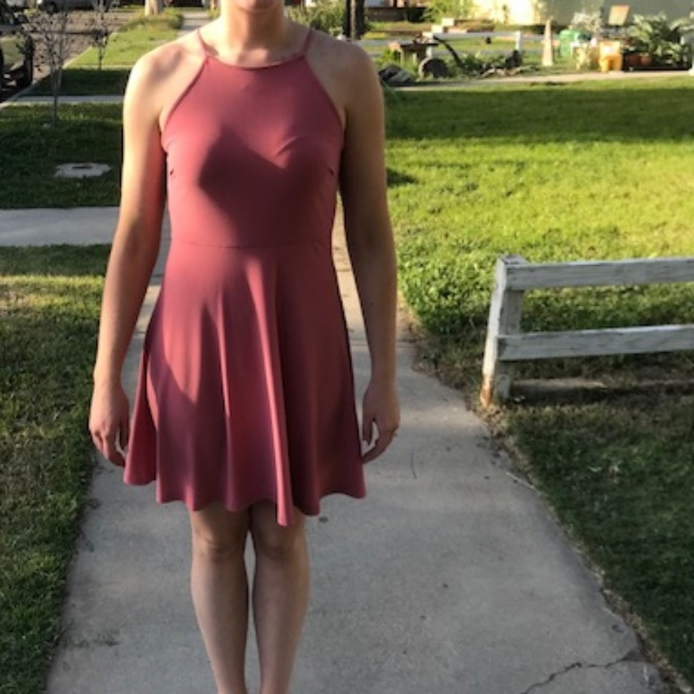 Casual High Neck Rose Dress Dresses